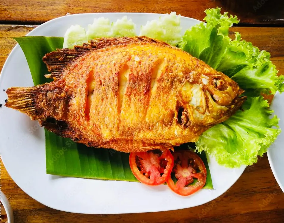 Fish