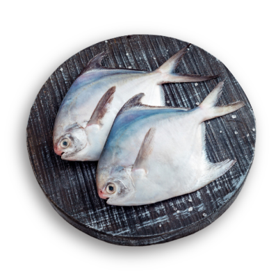 Meat & Fish